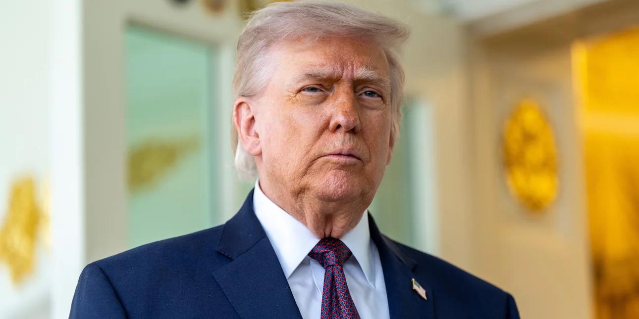 5457290386498532 image