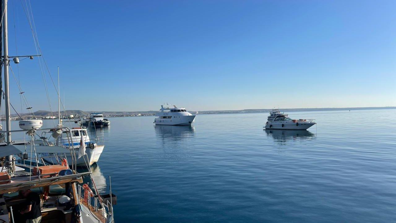 5457506933896237 image