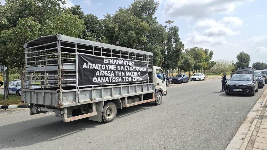 5458271595798283 670665351 1723521345686322 3362457857207087545 n