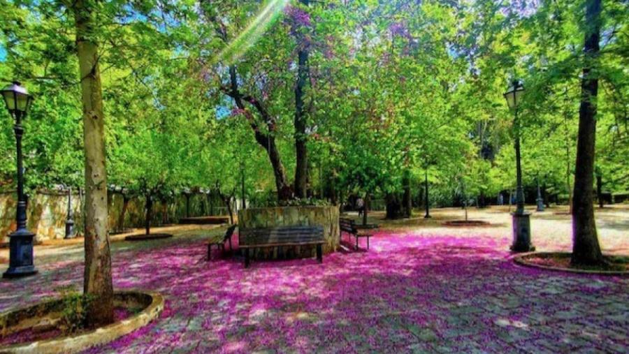 5458472594786913 καμποσ5