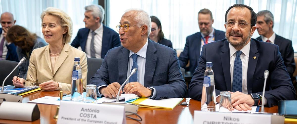 5456834547743943 cats