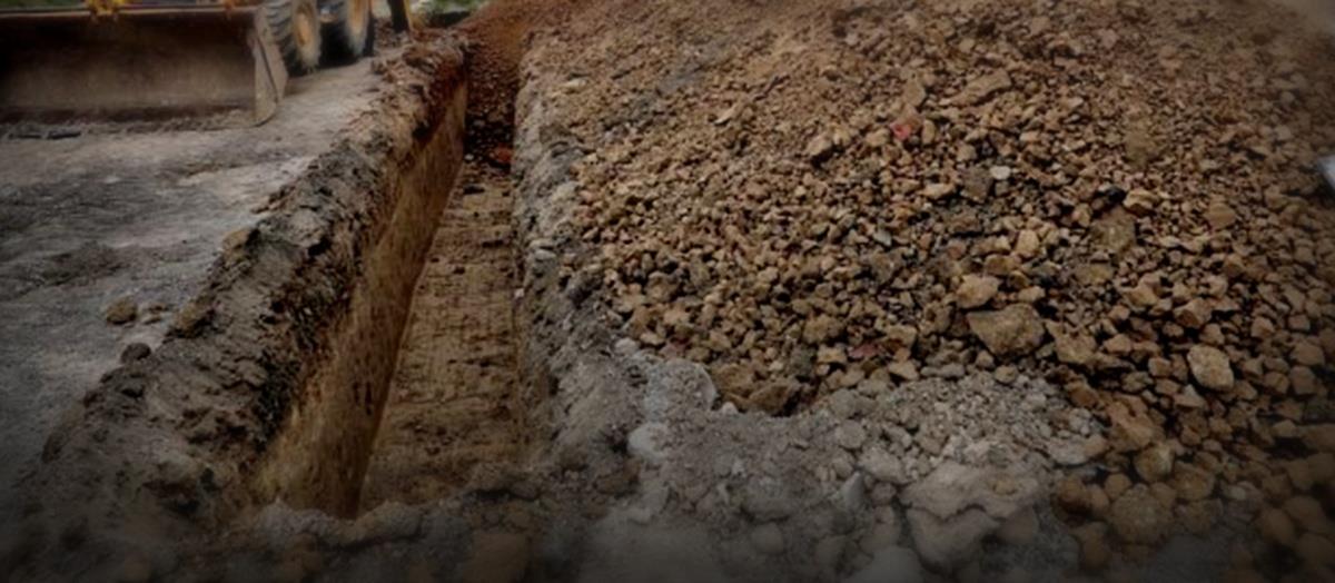 5459322905579670 cats