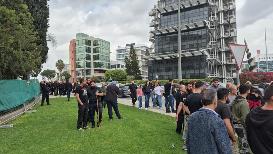 5459326514144862 cats