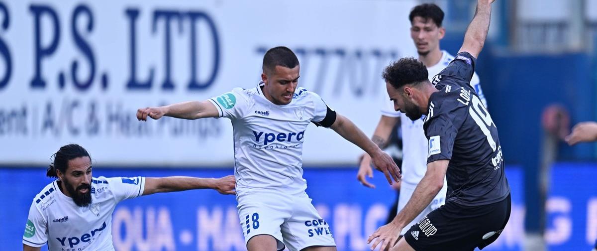 5459547930312789 cats