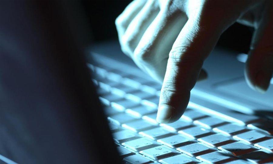 5459898713666275 image