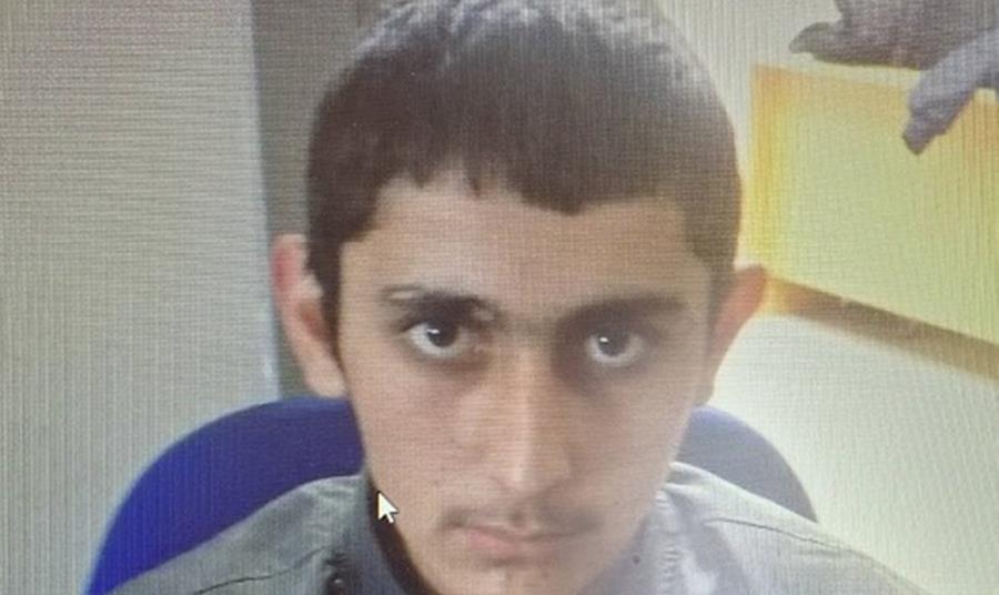 5460012294367602 cats