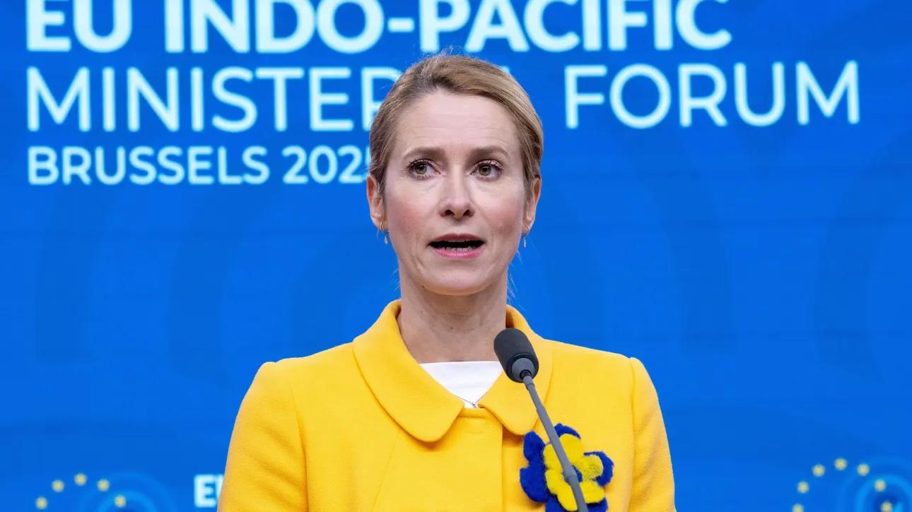 5460115448433295 image