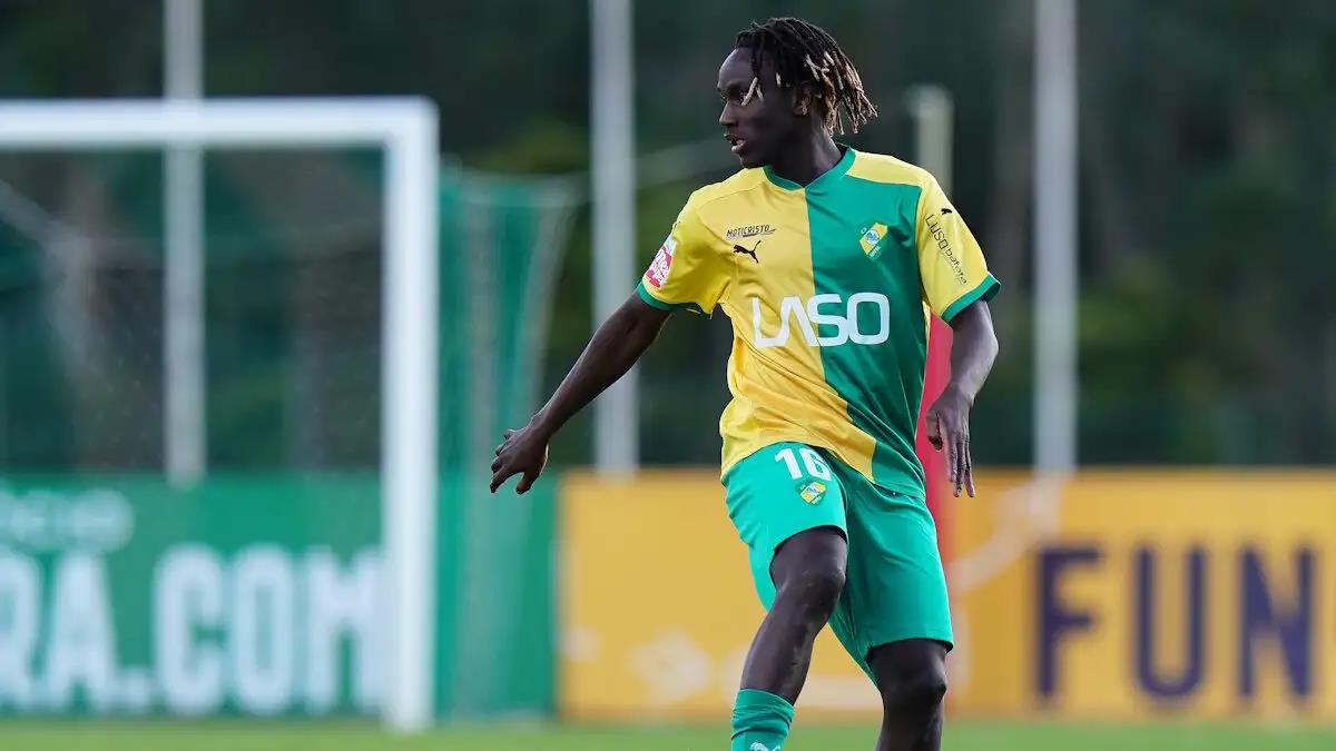 5460126456477317 image