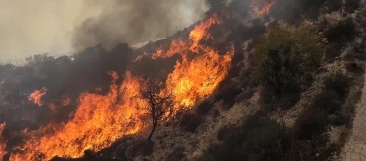 5461081028663508 image