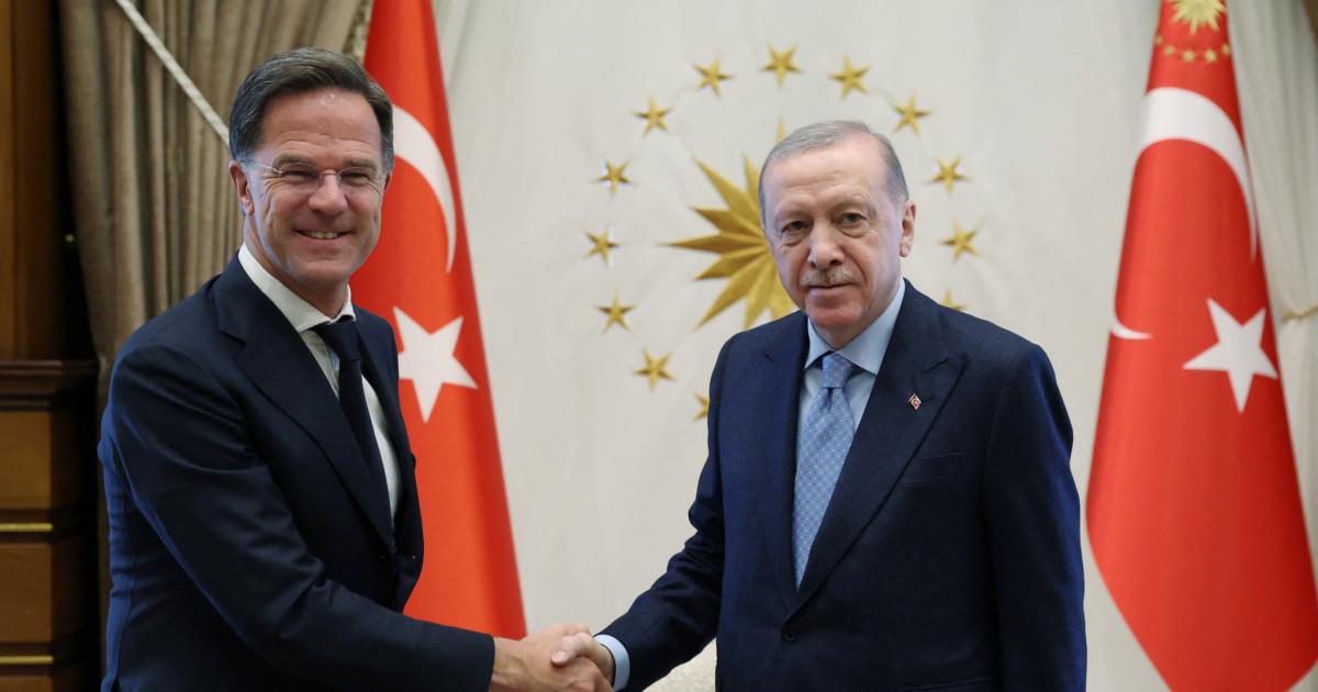 5461101921196970 image