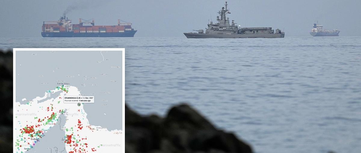 5461140697520653 cats