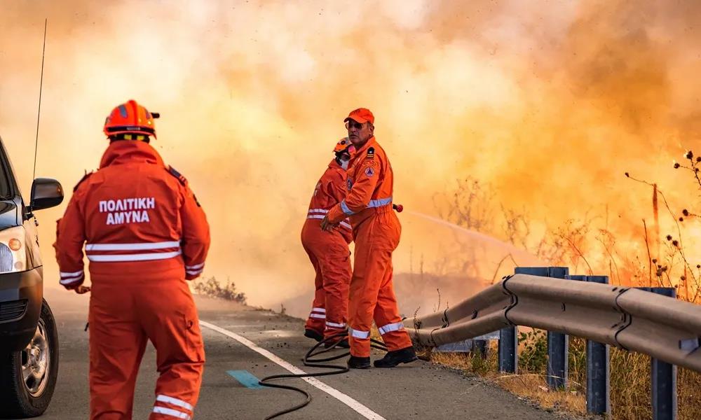 5461204067728219 image