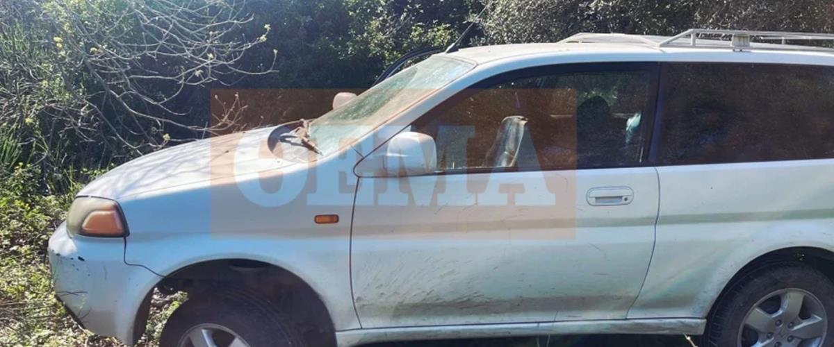 5461235257464343 cats