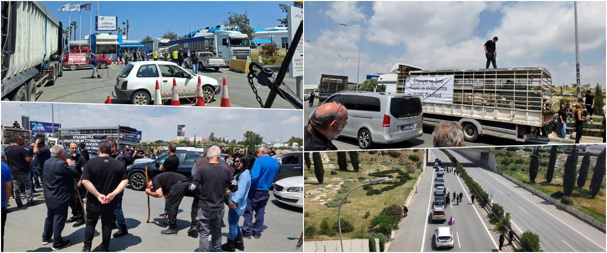 5461858565827826 collage111112