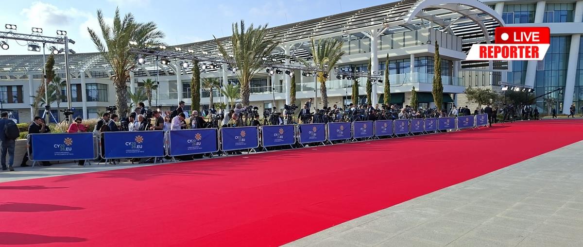 5461957902209938 cats