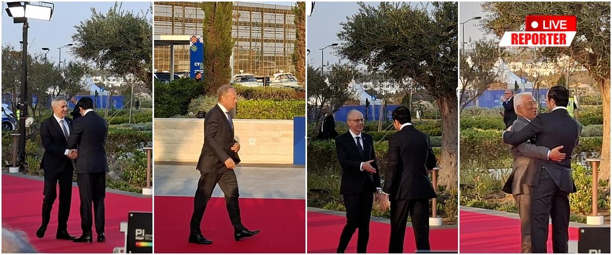 5462015468383666 cats