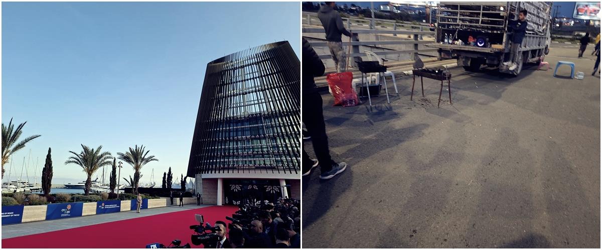 5462086073473599 cats