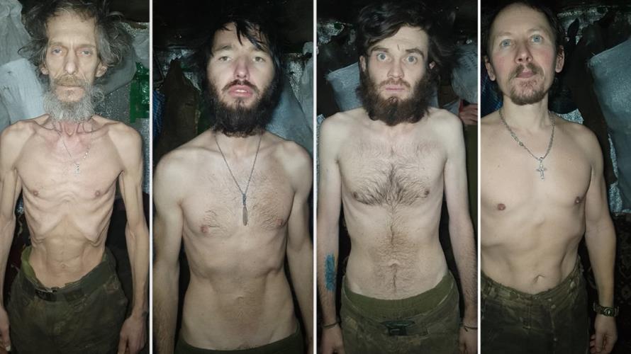 5462884007616095 image