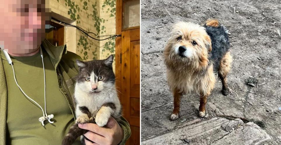 5463729130403350 image