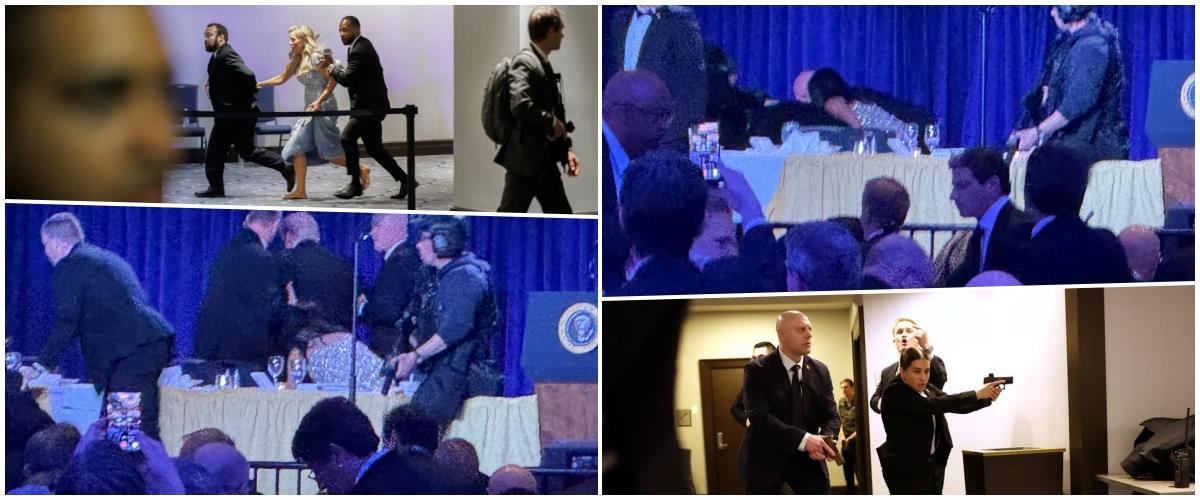 5464254302665092 collage