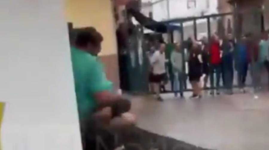 5465498603783937 cats