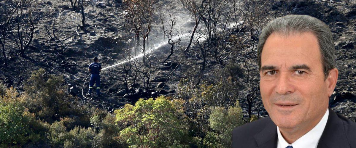 5465541022393026 image