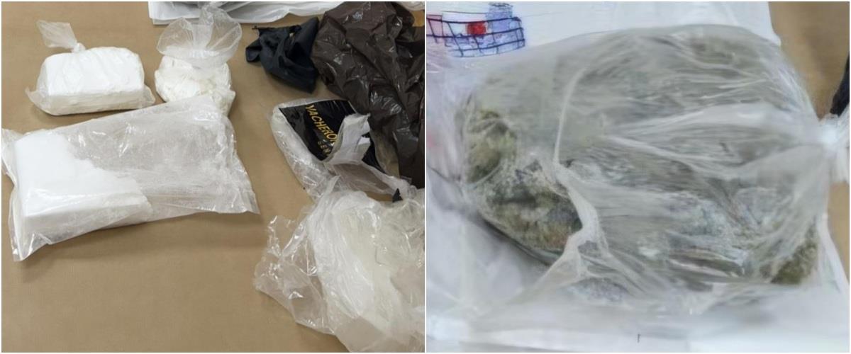 5466199348569186 collage5555