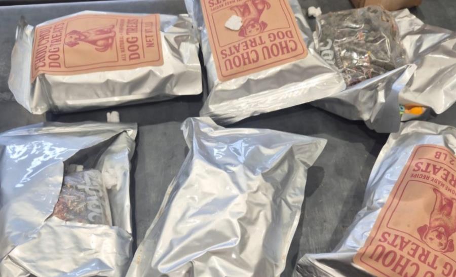 5466891944784727 cats