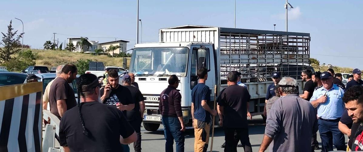 5467215598809140 cats