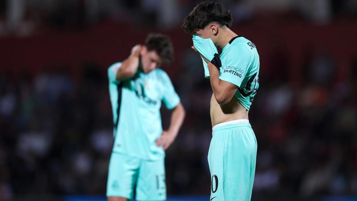 5467704494386038 image