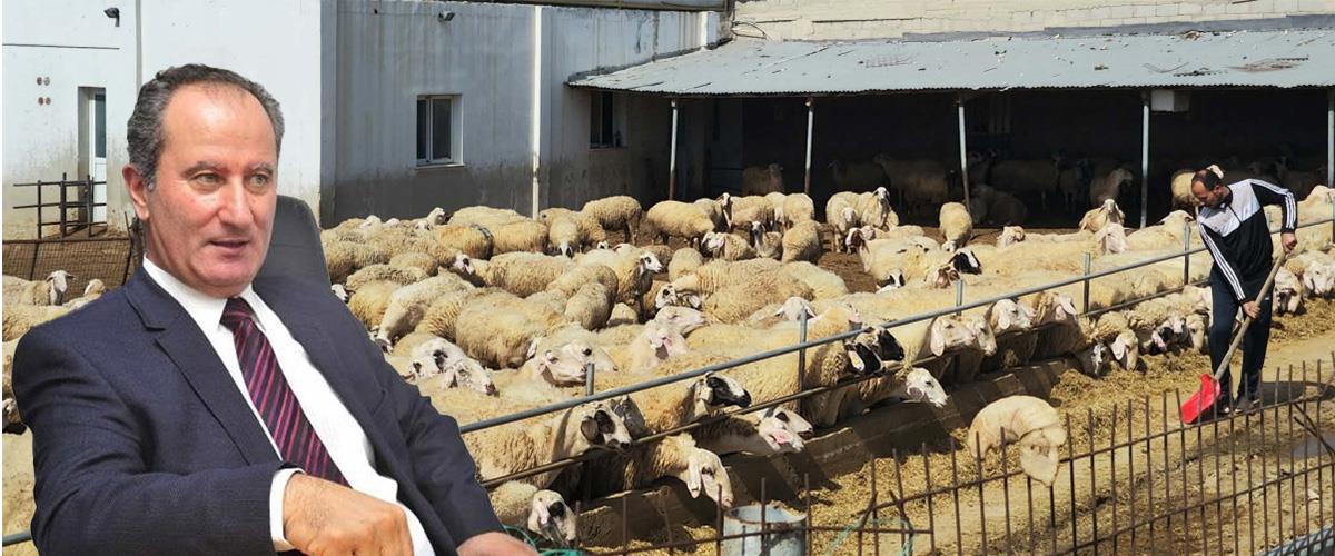 5467822031812998 malas