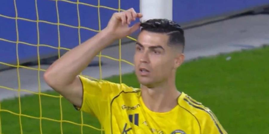 5467850475764012 cats