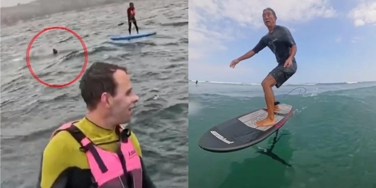 5467862639795773 image