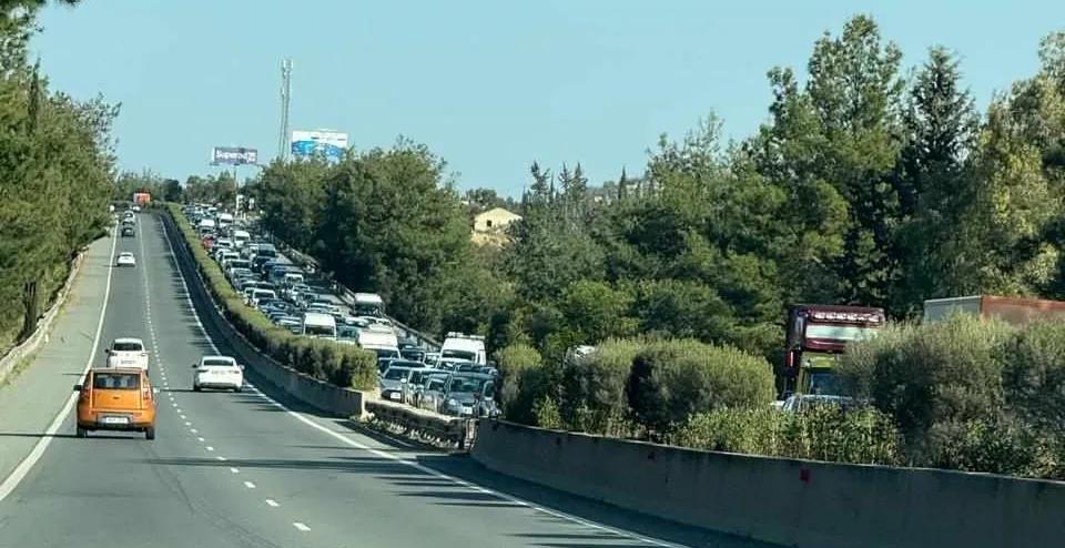 5468037592378246 image