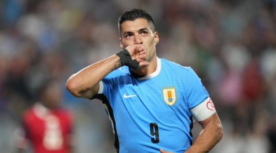 5475762172743190 Suarez