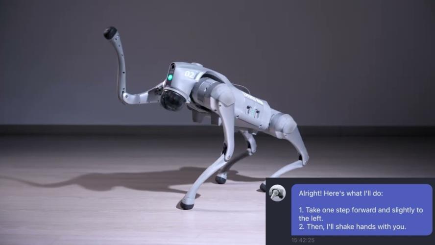 5476372776695169 image