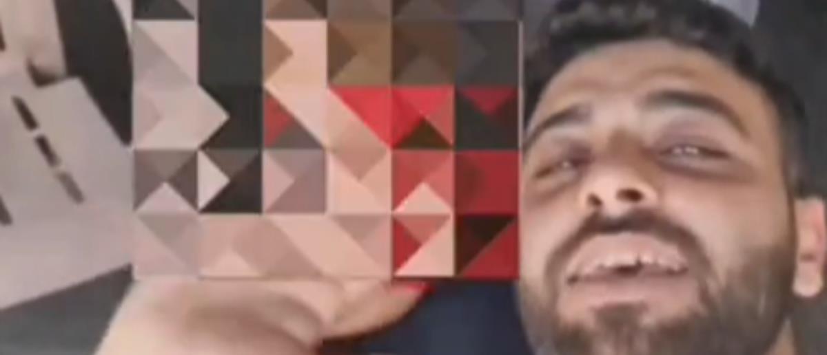 5480249647062940 image
