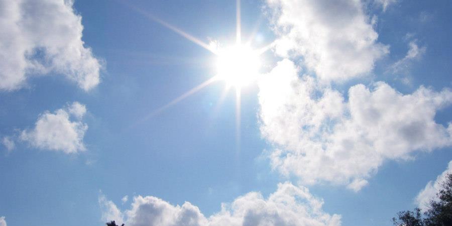 5483220817619315 image