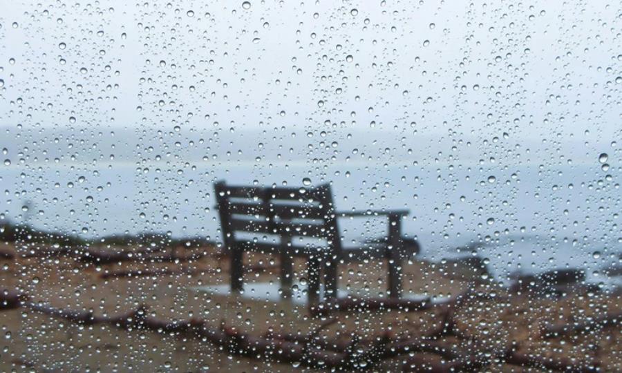 5491312491942878 image