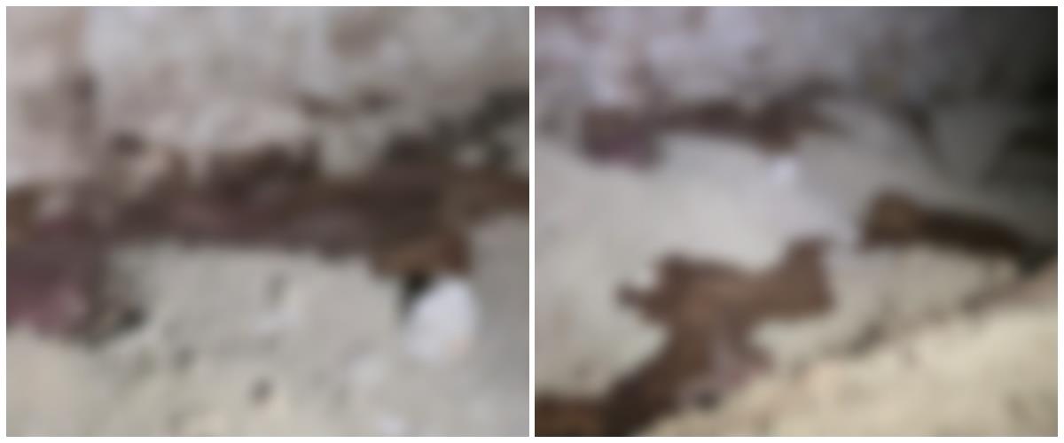 5491930678734166 collage