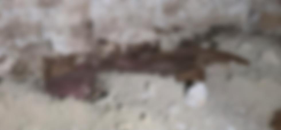 5491979742157768 image
