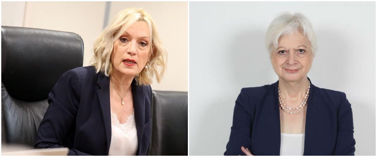 5493898253062033 cats