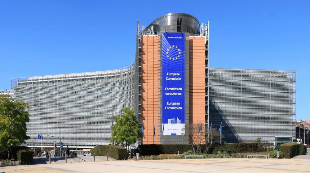 5497906796479745 European Commission
