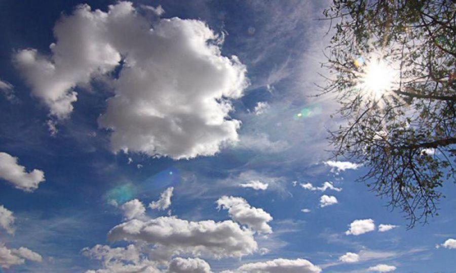 5499620826225879 image