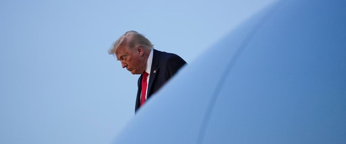5502739876152284 cats