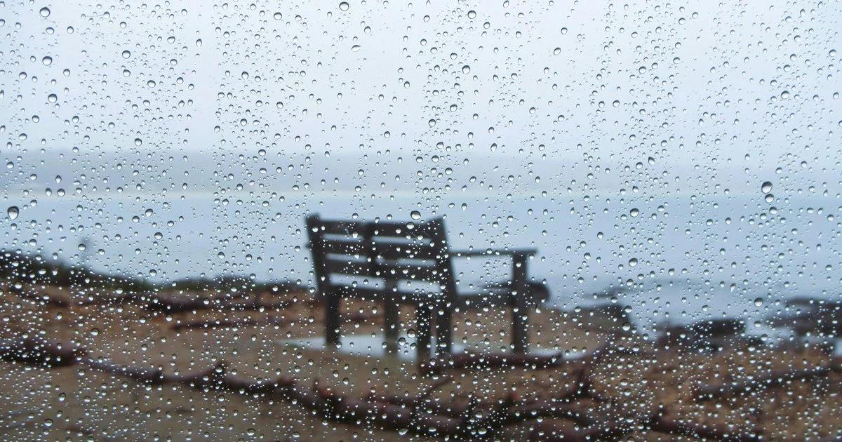 5503164339465281 image