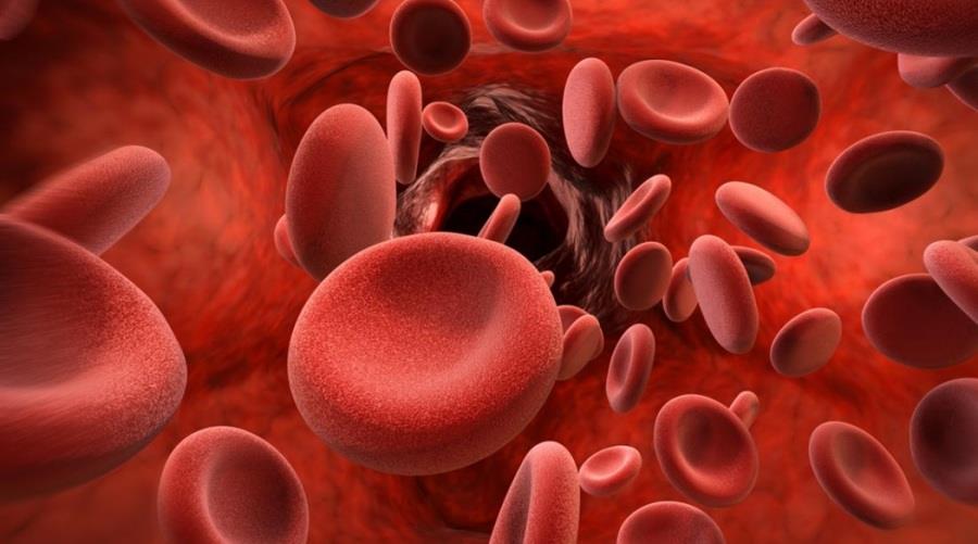 5503361344284616 3d-image-of-blood-cells-in-arteryυ ID 625035