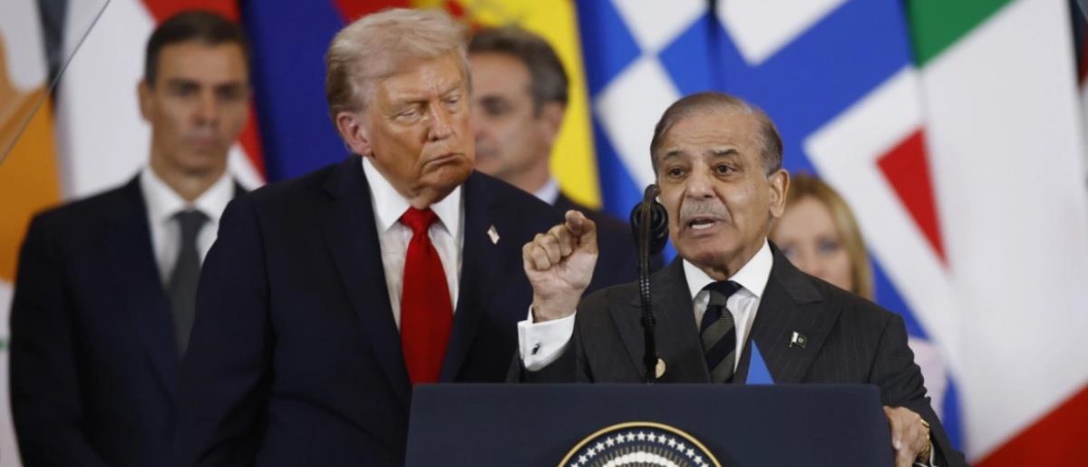 5507388085992194 trump sharif