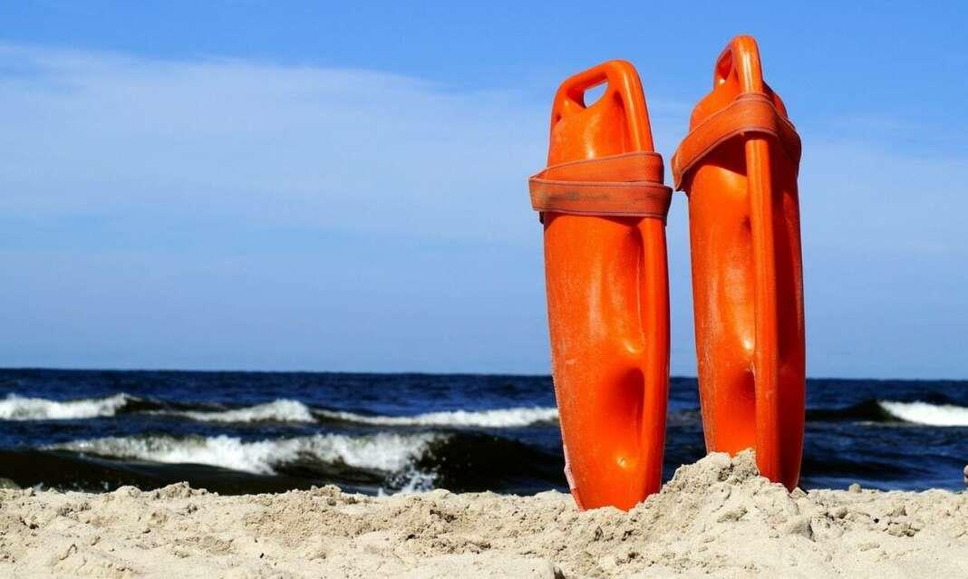 5509378283603510 image