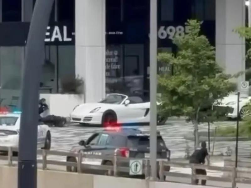5513971437320653 image